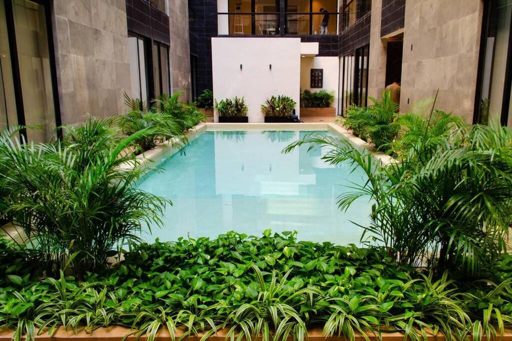 Appartement Ocean View Cozy W Gym, Rooftop, Jacuzzi 417 Musa