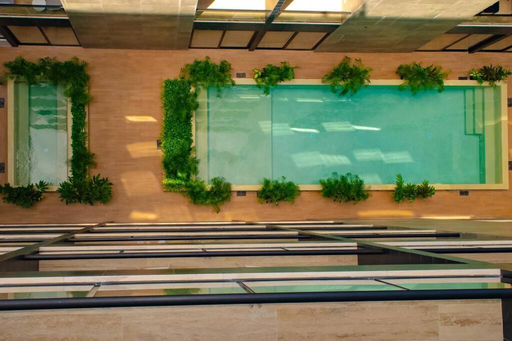 Appartement Ocean View Cozy W Gym, Rooftop, Jacuzzi 417 Musa Playa del Carmen